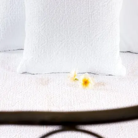 Corte Della Maesta Antica Residenza Bed & Breakfast Bagnoregio