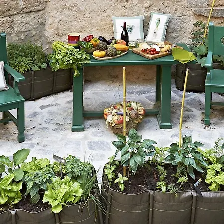 Bed & Breakfast Corte Della Maestà Antica Residenza Bagnoregio